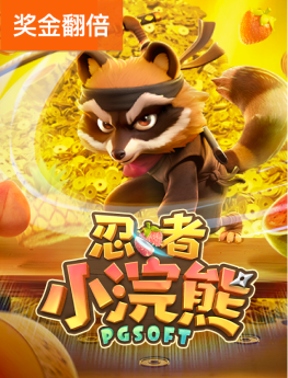 忍者小浣熊